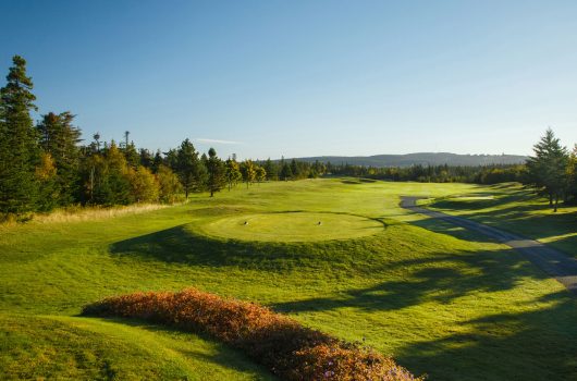 Bally Haly Golf Club - Image 2