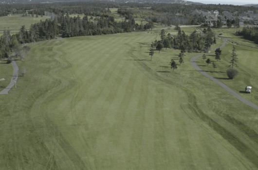 Bally Haly Golf Club